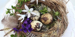 Beitragsbild des Blogbeitrags Gratis - 10 X Osterdeko aus dem Garten DIY 