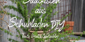 Beitragsbild des Blogbeitrags Alle meine Samen ... schnelles Saatkisten DIY 