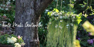 Beitragsbild des Blogbeitrags No Mow May - eine Nachlese