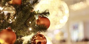 Beitragsbild des Blogbeitrags Frohe Weihnachten und ein gutes neues Jahr!