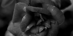 Beitragsbild des Blogbeitrags Gedanken und Gefühle in dieser von Corona bestimmten Zeit