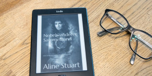 Beitragsbild des Blogbeitrags Nebelwanderer – eine Zeitreise in die Welt der Wikinger