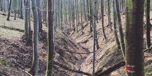 Beitragsbild des Blogbeitrags Aufi aufn Berg...