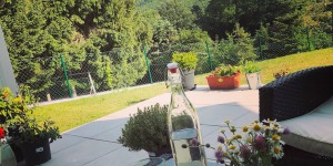 Beitragsbild des Blogbeitrags Ein Sommer am Land
