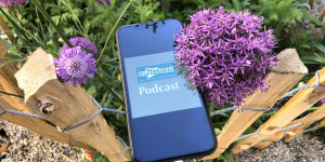 Beitragsbild des Blogbeitrags im7ten-Podcast: Die Westbahnstraße