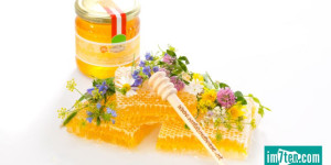 Beitragsbild des Blogbeitrags Wald & Wiese – paradiesische Genüsse