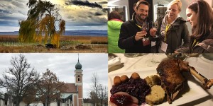 Beitragsbild des Blogbeitrags Martiniloben in Illmitz