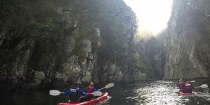 Beitragsbild des Blogbeitrags Südafrika, Garden Route: Tsitsikamma National Park / Storm River Valley