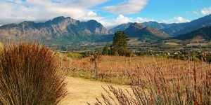 Beitragsbild des Blogbeitrags Südafrika: In Franschhoek Wein verkosten 