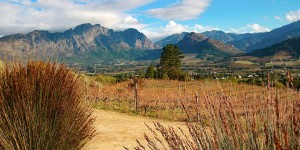 Beitragsbild des Blogbeitrags Südafrika: In Franschhoek Wein verkosten