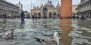 Beitragsbild des Blogbeitrags Venedig: Die schönsten Fotospots (während dem Hochwasser Acqua Alta) 