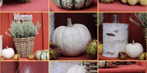 Beitragsbild des Blogbeitrags Jetzt ist meine Zeit! 