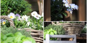 Beitragsbild des Blogbeitrags Lagom geht auch im Garten