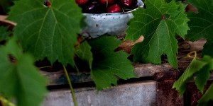 Beitragsbild des Blogbeitrags Alle Jahre grüßt die Kirsche {Schokotörtchen}