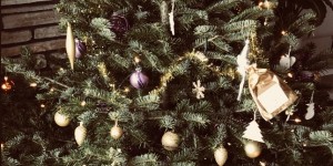 Beitragsbild des Blogbeitrags Weihnachtszeit, oh schöne Zeit! 
