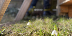 Beitragsbild des Blogbeitrags …was sind eigentlich Frühlingsgefühle?
