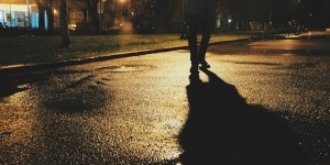 Beitragsbild des Blogbeitrags Der Steppenwolf 