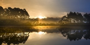 Beitragsbild des Blogbeitrags Immensee