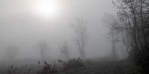Beitragsbild des Blogbeitrags Der Erlkönig