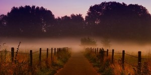 Beitragsbild des Blogbeitrags Du bist die Ruh