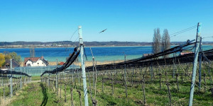 Beitragsbild des Blogbeitrags Die Geschichte der Klosterinsel Reichenau