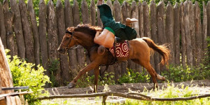Beitragsbild des Blogbeitrags Die Kosaken