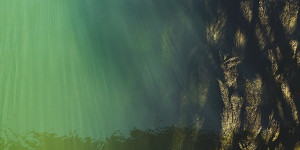 Beitragsbild des Blogbeitrags An der schönen blauen Donau