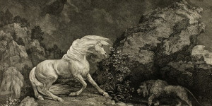 Beitragsbild des Blogbeitrags George Stubbs