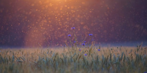 Beitragsbild des Blogbeitrags Ein Sonntag