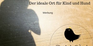 Beitragsbild des Blogbeitrags Ferienwohnung: Der ideale Ort für Hund und Kind – Werbung mit BestFewo