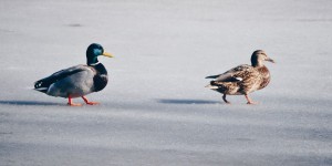 Beitragsbild des Blogbeitrags #frauenkram: 8. März: Mein Beitrag zum internationalen Frauentag