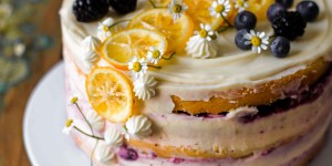 Beitragsbild des Blogbeitrags Lemon Blueberry Cake