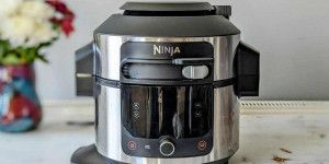 Beitragsbild des Blogbeitrags Ninja Foodi 11-in-1 Smartlid Multi-Cooker Review 