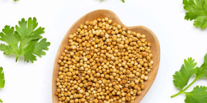 Beitragsbild des Blogbeitrags 11 Best Coriander Substitutes To Whip Up Flavorful Dishes