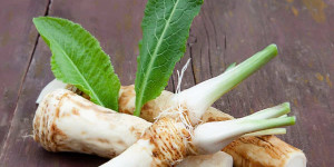 Beitragsbild des Blogbeitrags Discover the Perfect Horseradish Substitute for Your Recipes 