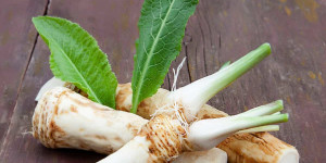 Beitragsbild des Blogbeitrags Discover the Perfect Horseradish Substitute for Your Recipes