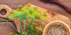 Beitragsbild des Blogbeitrags Best Fennel Seed Substitutes for Your Recipes
