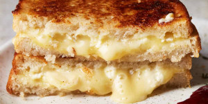 Beitragsbild des Blogbeitrags Gourmet Grilled Cheese Sandwich - With Brie and Cheddar (Fancy)