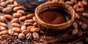 Beitragsbild des Blogbeitrags 15 Best Cocoa Powder Substitutes for Brownies, Cakes, and More