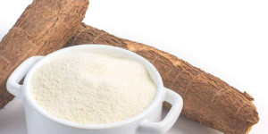 Beitragsbild des Blogbeitrags 8 Best Cassava Flour Substitutes for Baking and Cooking 