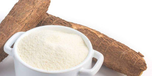 Beitragsbild des Blogbeitrags 8 Best Cassava Flour Substitutes for Baking and Cooking