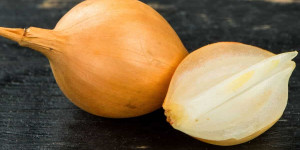 Beitragsbild des Blogbeitrags What Can I Substitute for Onions in My Recipes? Here Are 13 Great Options!