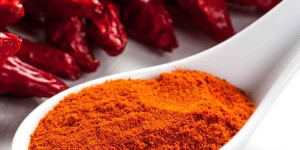 Beitragsbild des Blogbeitrags 13 Hot Paprika Substitutes for Spicy, Mouth-Watering Dishes 