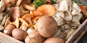 Beitragsbild des Blogbeitrags What To Substitute for Mushrooms: 17 Great Options To Use 