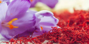Beitragsbild des Blogbeitrags What to Substitute for Saffron in Cooking? The Best Alternatives
