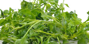 Beitragsbild des Blogbeitrags 14 Must-Try Watercress Substitutes for for Flavor and Nutrition 
