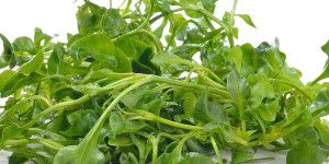 Beitragsbild des Blogbeitrags 14 Must-Try Watercress Substitutes for for Flavor and Nutrition