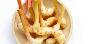 Beitragsbild des Blogbeitrags 5 Best Galangal Substitutes for Flavorful Asian Cuisine 