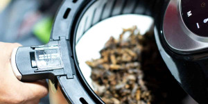 Beitragsbild des Blogbeitrags Can You Put Cardboard in an Air Fryer?