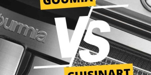 Beitragsbild des Blogbeitrags Gourmia vs Cuisinart Air Fryer